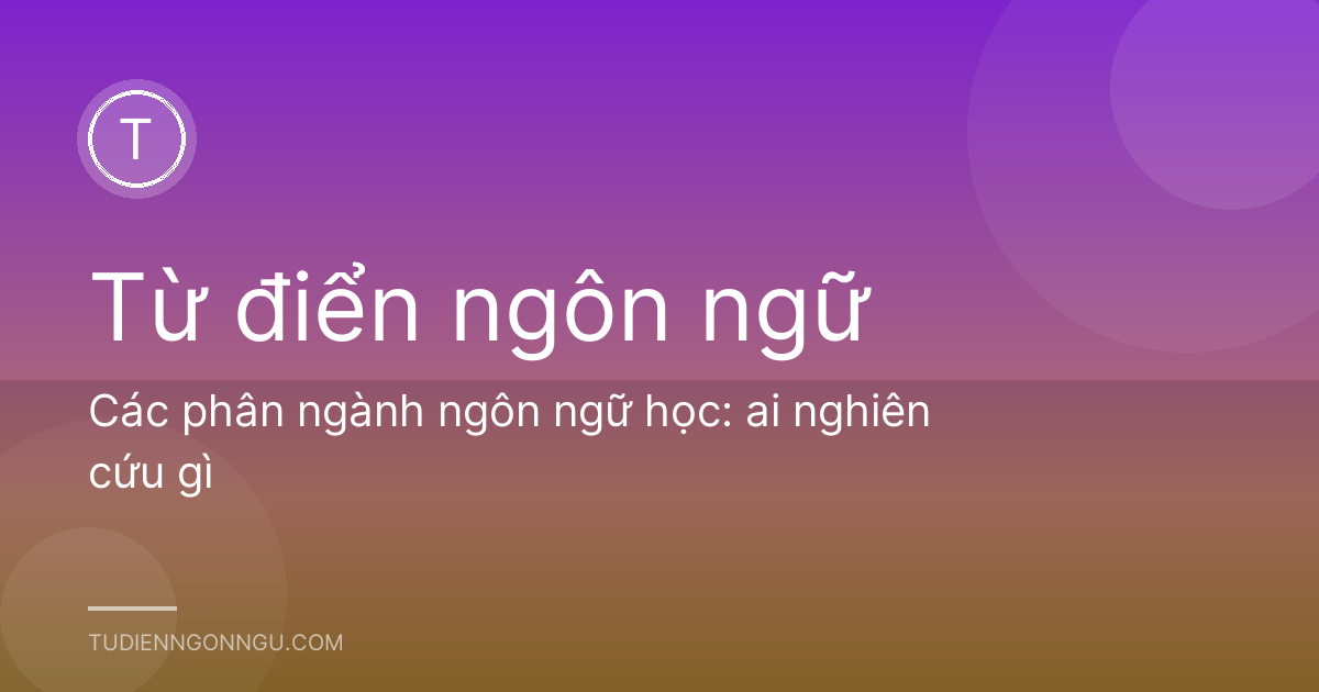 Các phân ngành ngôn ngữ học: ai nghiên cứu gì